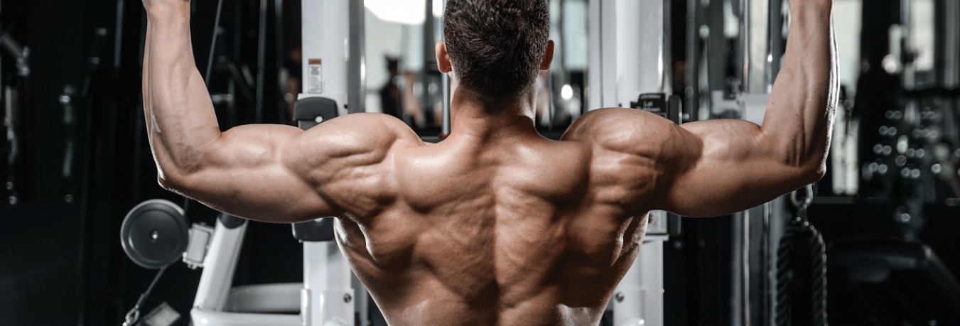 3 Tips for Better Muscle Growth