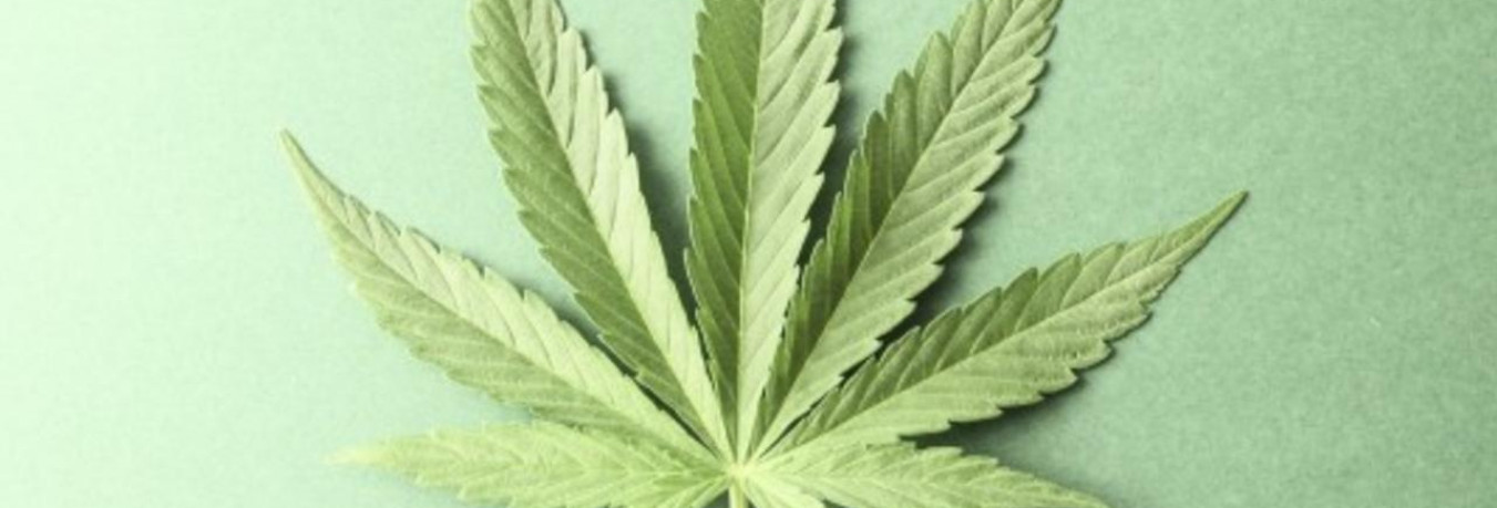 Marijuana… An Industrial Grade Fat Burner?