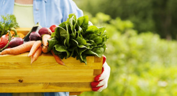 Should You Eat All Organic Foods?