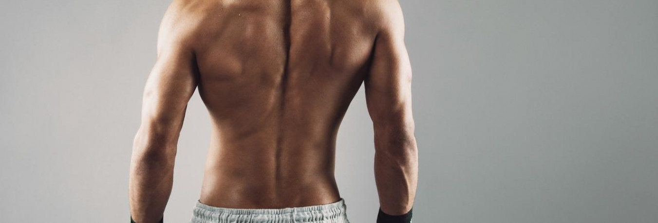 How To Build A Great Back