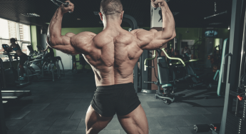 What’s the Most Important Muscle Group in a Bodybuilding Competition?