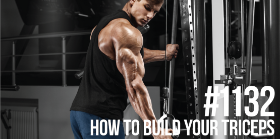 1132: How to Build Your Triceps