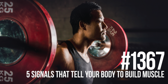 1367: The 5 Most Powerful Signals That Tell Your Body to Build Muscle
