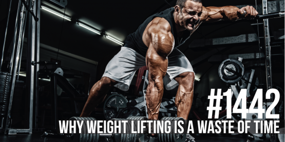 1442: Why Weight Lifting Is a Waste of Time