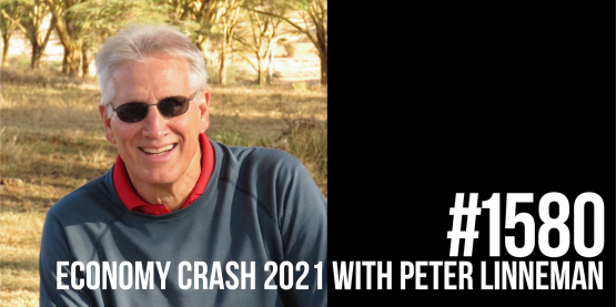 1580: Economy Crash 2021 With Peter Linneman