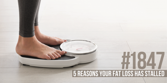 1847: Five Reasons Your Fat Loss Has Stalled