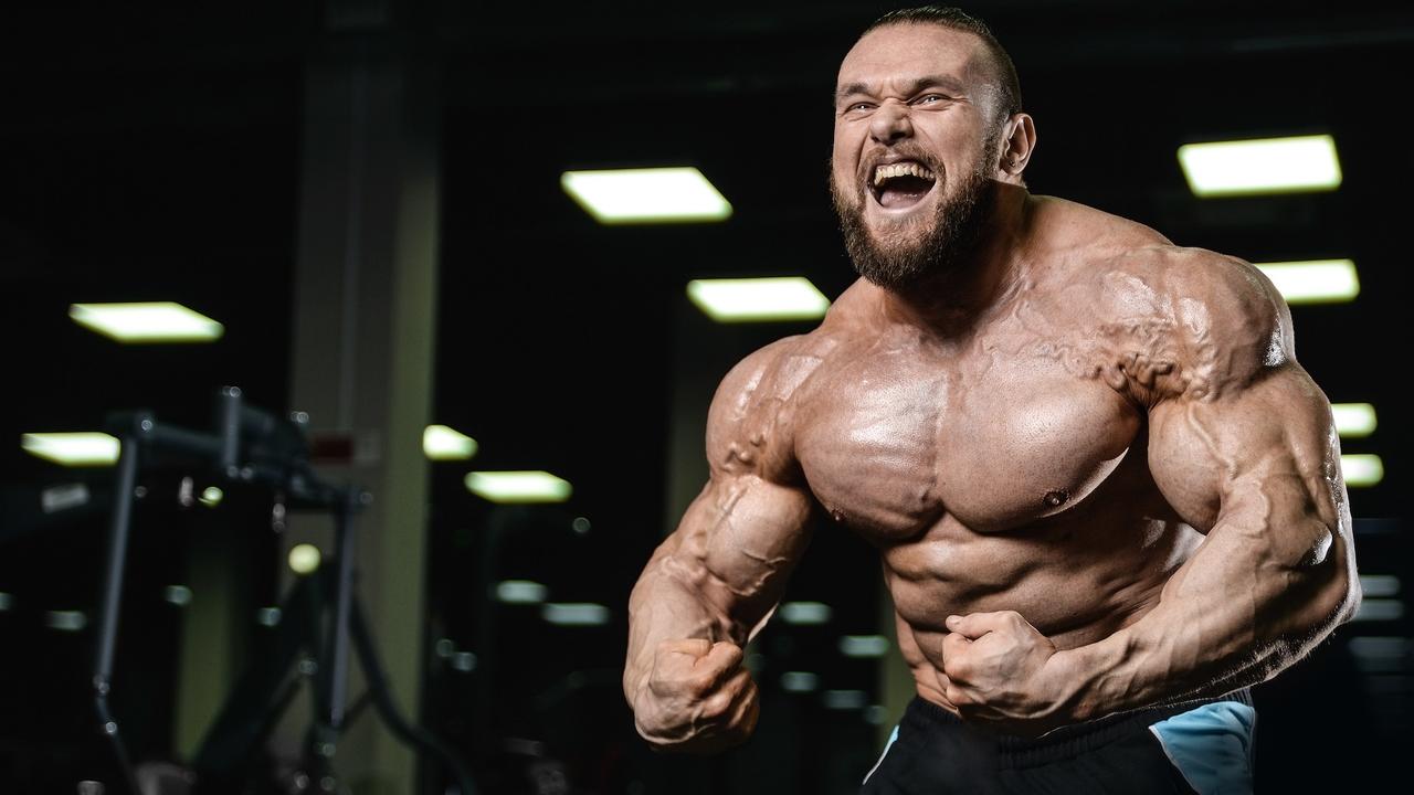 world bodybuilders pictures: Bulgaria muscles builder 