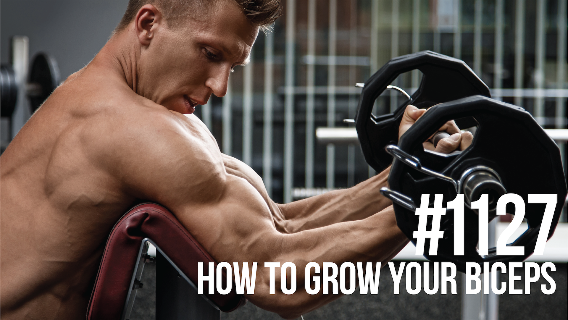 1127: How to Grow Your Biceps