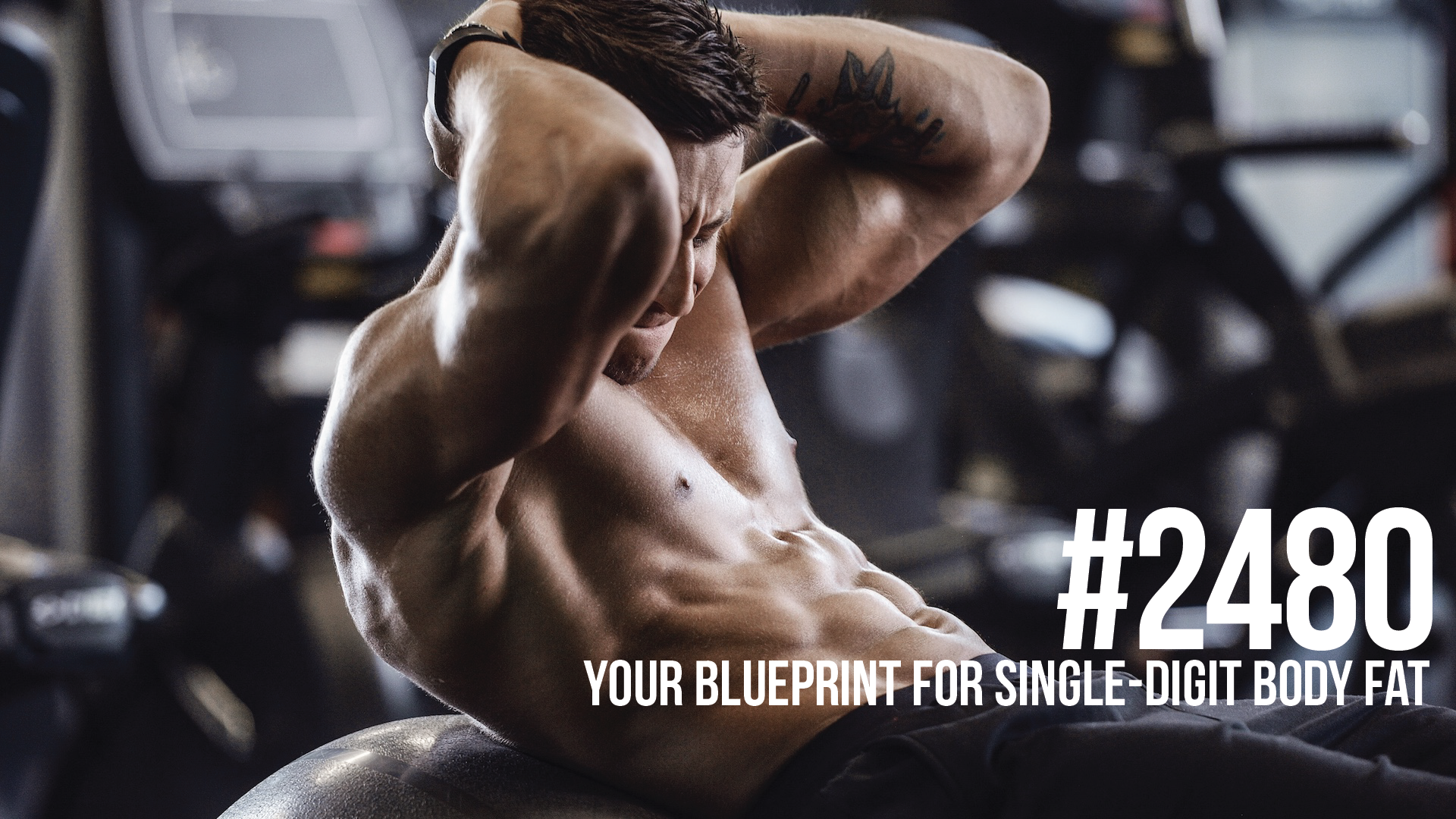 2480: Your Blueprint for Single-Digit Body Fat